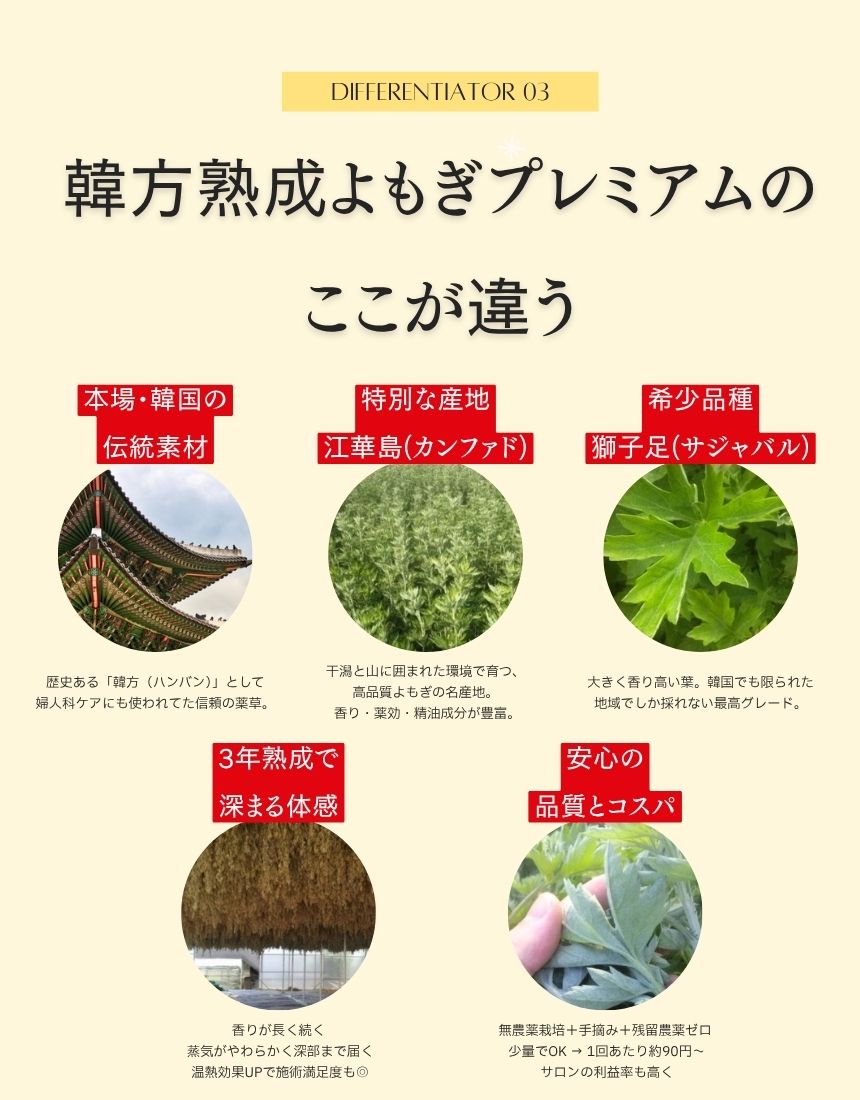11 韓方黄土よもぎ蒸しセット