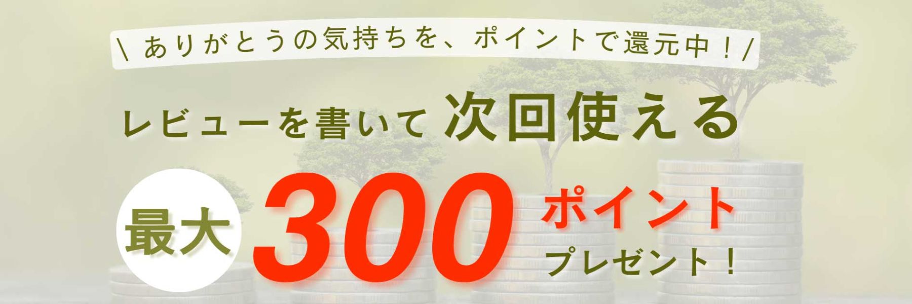 はいぽけっとショップレビュー